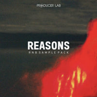 Reasons – RnB Sample Pack